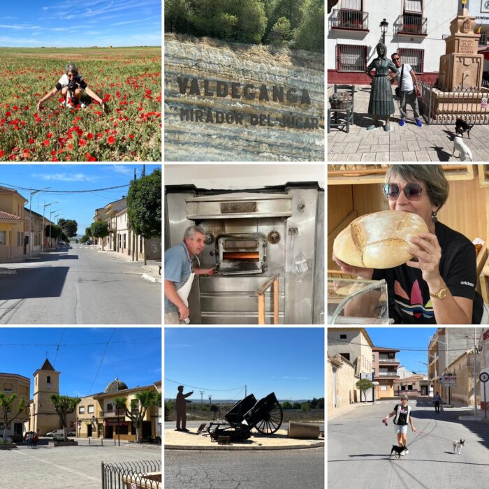 Descubre los Encantos de La Manchuela: Turismo, Gastronomía y Naturaleza en Albacete